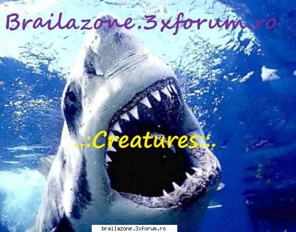 look behind you!!! hehehe amazing creatures